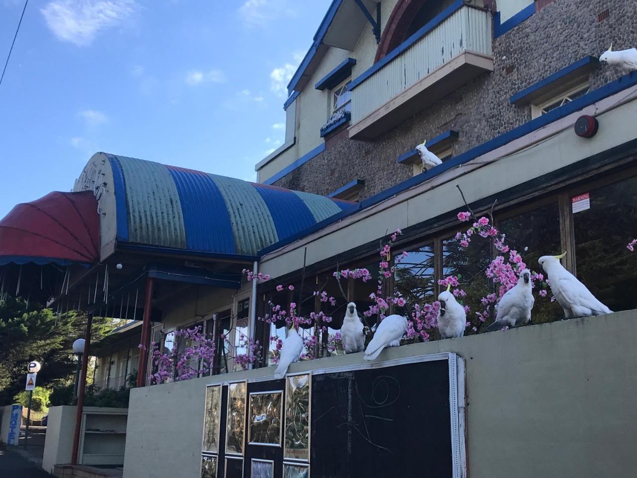 The Clarendon Motel Катумба Екстериор снимка